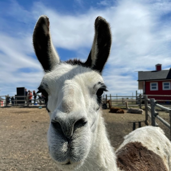 Meet your Posher, Nadine - Picture 1 of 1